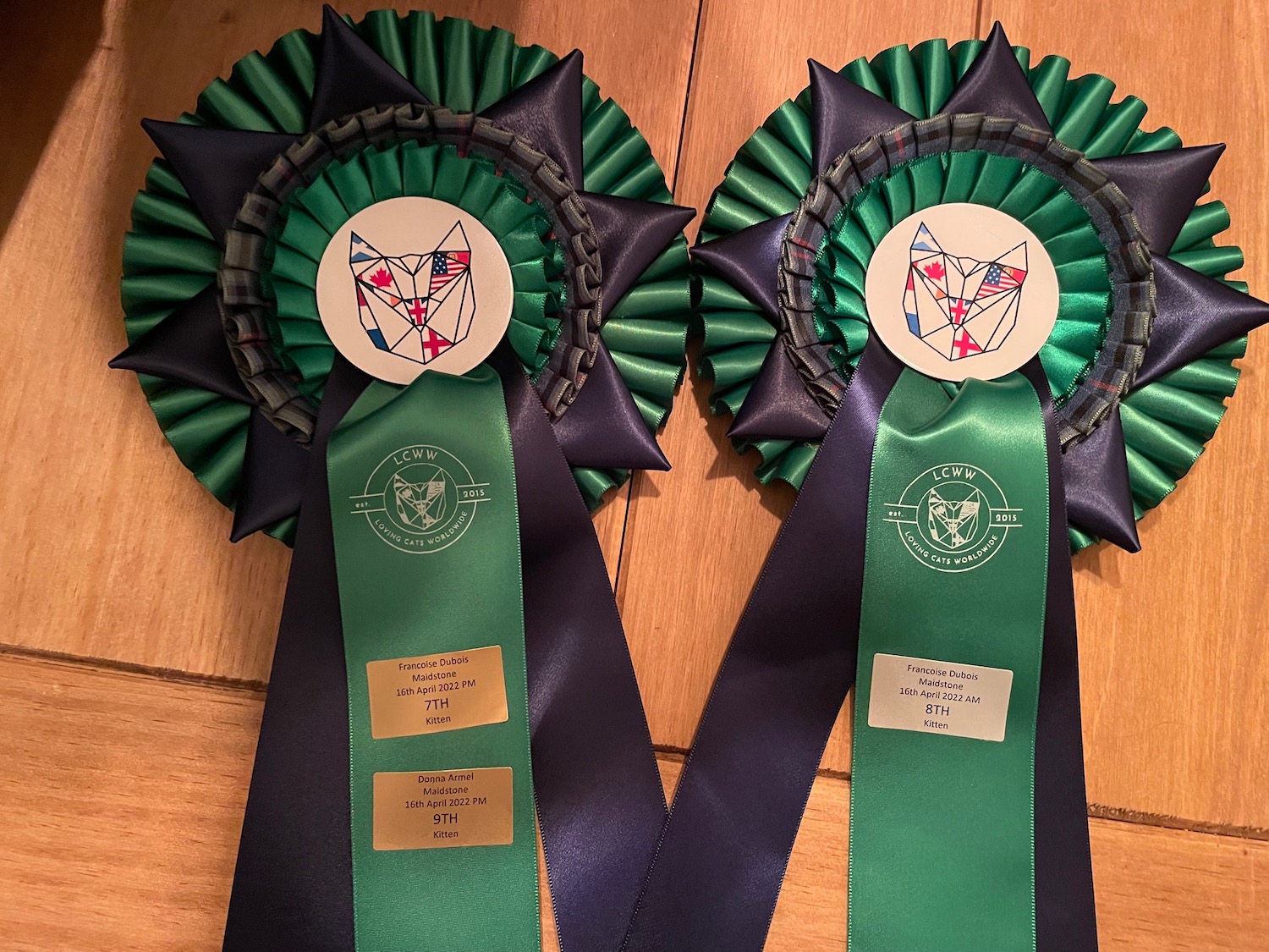TICA cat show rosettes