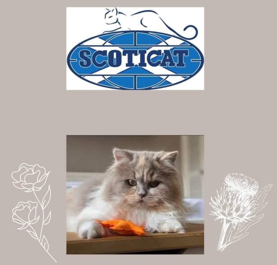 Cumbria ScoTICAt Show – 23/24 July&nbsp;2022