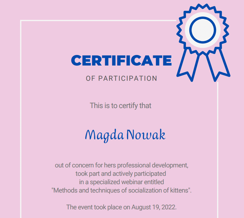 Kitten Socialisation Course