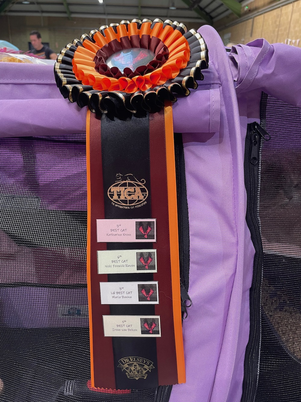 TICA Maidstone Show – 17 September 2022 *GRAND&nbsp;CHAMPION*