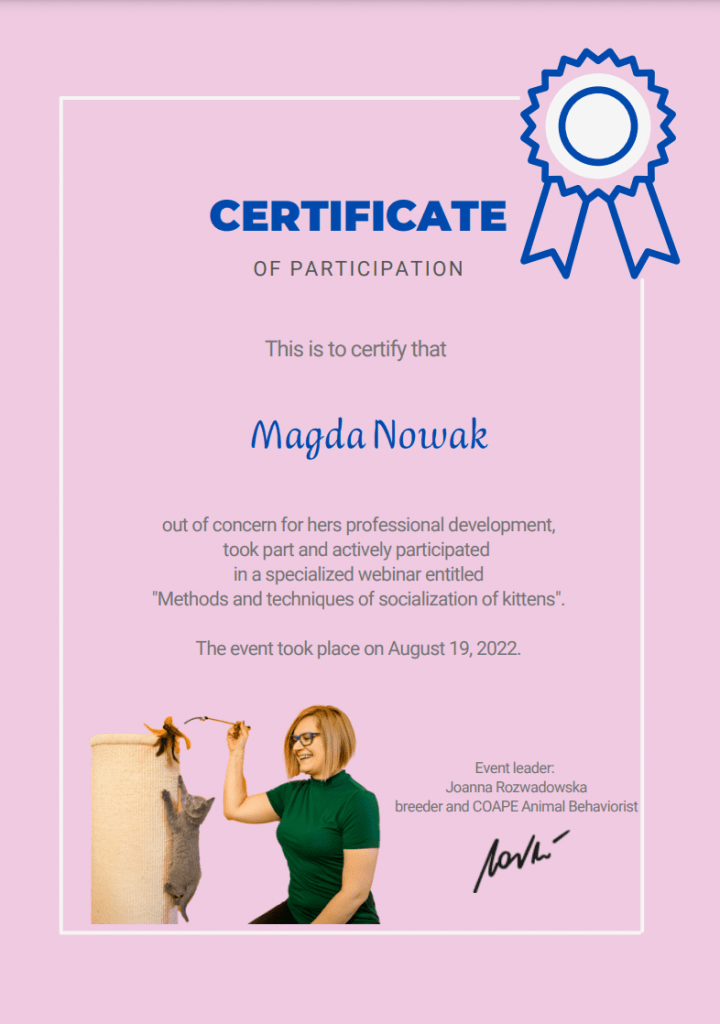 Certificate for attending Kitten Socialisation course