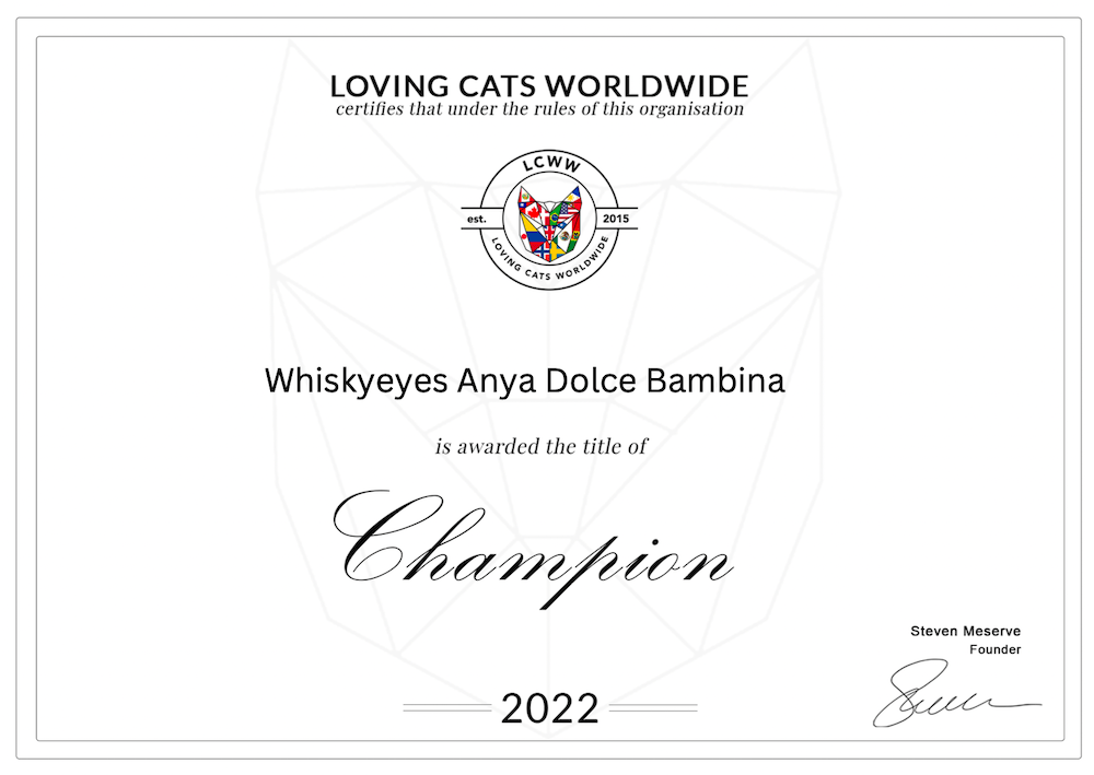 LCWW Ware Show – 16 October 2022&nbsp;*CHAMPION*