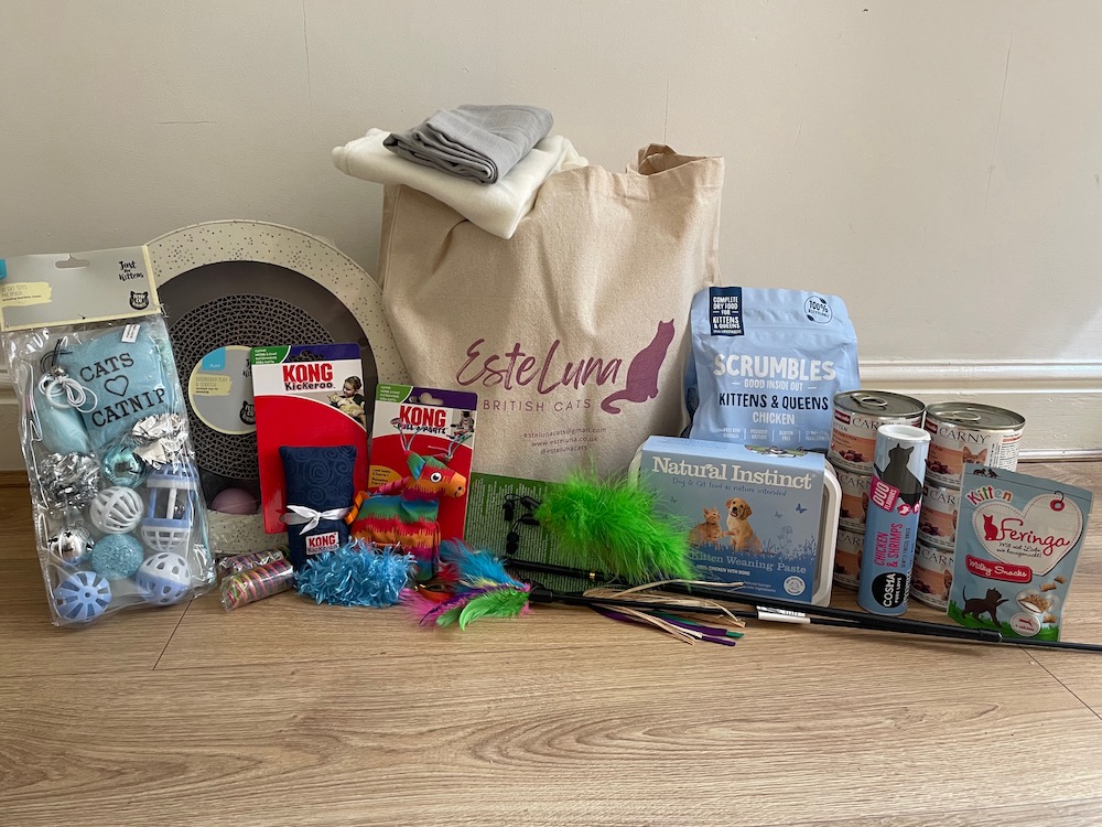 Bringing a New Kitten Home – Shopping&nbsp;List