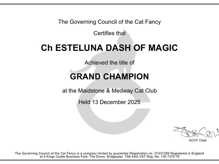 Davina is a GRAND&nbsp;Champion!